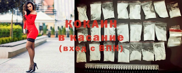 дживик Богданович