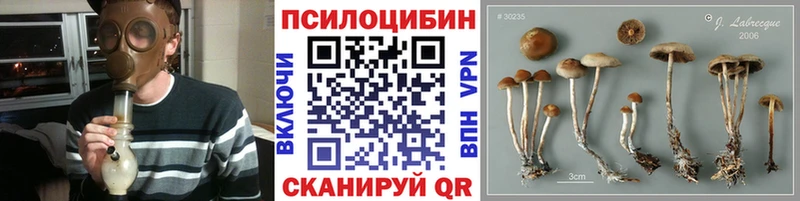 Галлюциногенные грибы мухоморы  Купить где  Аркадак 